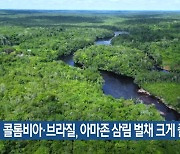 [기후는 말한다] 콜롬비아·브라질, 아마존 삼림 벌채 크게 줄여