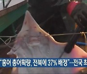 “홍어 총어획량, 전북에 37% 배정”…전국 최대