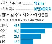 역대급 폭우에…먹거리 물가 다시 ‘비상’