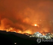 고성산불 이재민들, 한전 상대 손배소 2심도 승소