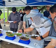 강원농업기술원, 상추 우량계통 지역 적응 현장 평가회 열어