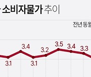 [그래픽] 미국 소비자물가 추이