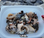 제주도, 또 바가지 논란…“5만원 모듬 해산물? 비행기보다 비싸네”