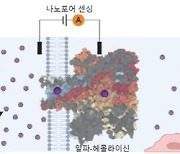 종이컵에 머리카락 10만분의 1보다 작은 초미세 플라스틱 '가득'