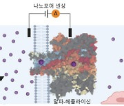 인하대, 일회용 종이컵서‘미세플라스틱 발견’… “세계 최초”