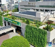 수원 65세 이상 운전자 교통사고 다발지점 '장안구청사거리' 부근 최다