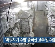 ‘바꿔치기 수법’ 중국산 고추 밀수입 6명 적발