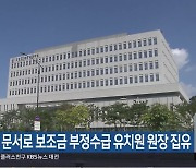 허위 문서로 보조금 부정수급 유치원 원장 집유