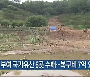 부여 국가유산 6곳 수해…복구비 7억 요청