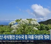 지리산 세석평전 산수국 등 여름 야생화 개화