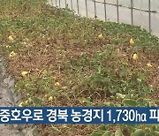 집중호우로 경북 농경지 1,730ha 피해