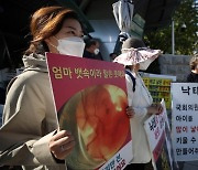 중절죄 폐지 5년, 입법 공백 속… ‘36주 낙태’ 브이로그도