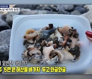 [인터넷 와글와글] 제주 '5만 원 해산물 바가지' 두고 와글와글