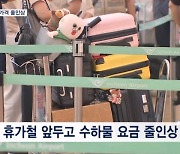 여름 성수기 코 앞인데…LCC 수하물 가격 줄인상에 이용객 울상