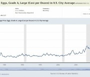 6월 미국 도매물가 예상 소폭상회…닭고기 달걀 55% 폭등