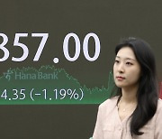 2900피의 꿈 ‘1일 천하’…삼성전자·SK하닉 급락에 코스피 2850대까지 ‘뚝’ [투자360]