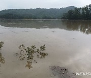 집중호우로 부유물 쓰레기 가득…대청호 또다시 몸살