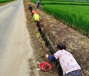 [거창소식]군, 왕우렁이 일제 수거 동참 등