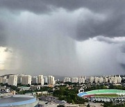 구멍 뚫린 듯 한 동네에만…"기상청 예보 안 맞는 이유"