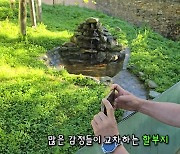 푸바오, 3개월 만에 본 강바오 앞 서성였다 "아직 적응 단계" ('전할시')