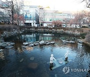 열대야 없는 태백시 '한강·낙동강 발원지축제' 27일 개막