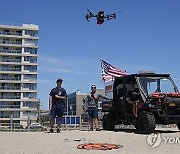 Drone Beach Bird Attacks