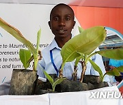 TANZANIA-DAR ES SALAAM-INNOVATIVE BANANA SEEDLING