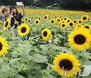 [오늘의 날씨] 대구·경북(13일,토)…내륙 소나기, 낮 최고 32도