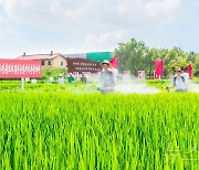 북한, 농업부문에서의 '과학기술' 접목 부각…"과학적 비배관리"