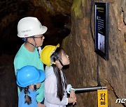 영월군, 작년 관광객 700만 돌파… "공격적 마케팅 효과" 평가