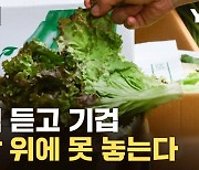 [자막뉴스] 집는 족족 '눈을 의심'...밥상엔 반찬 대신 한숨만