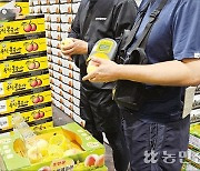 갖다대면 ‘맛있는 과일’ 구별…‘이것’이 끌어올린 품질경쟁