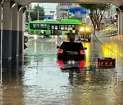 이러다 삼계탕 진짜 2만원 될라?…극한호우가 닭 잡았네