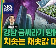 [김밥경제] 폭염·장마에도 사계절 신선 채소…비밀은 강남 빌딩 속에?