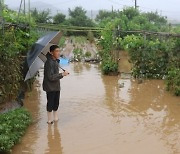 “고깃집에 상추, 깻잎 나올까”…70% 껑충 ‘금(金)채소’  [뉴스+]