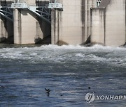 [장용훈의 한반도톡] 다시 장마 그리고 임진강의 위기…공유하천 관리 지혜 필요