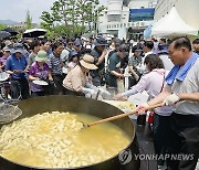 대형가마솥에서 쪄낸 찰옥수수