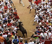 Spain Running of the Bulls