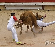 Spain Running of the Bulls