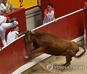 Spain Running of the Bulls