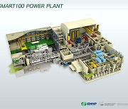전세계 SMR 상용화 속도내는데…"韓, 더딘 안전규제가 발목"