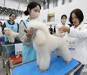 경기도, ‘반려마루 하계 특강’ 참가자 선착순 모집…참가비 무료