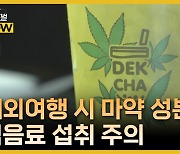 국가정보원, "해외여행 시 '대마' 등 마약 성분 식음료 섭취 주의"