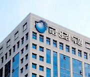 50억원 대금 납입했다고 가장한 유한회사 대부업체 적발