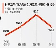 타이어 호실적 축포 쐈는데… 원자재 가격·운임 상승 암초