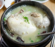 초복 삼계탕, 사 먹으면 1만7천원…집에서 끓이면 '반값'