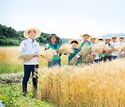 구미시, 밀·콩 2모작, 6차 융복합 등 농업 대전환