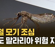 [자막뉴스] "평년의 3배" 서울도 위험…잠복기 1년까지 간다