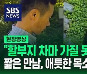 [현장영상] "할부지 차마 가질 못하겠네…" 3개월 만에 만난 푸바오 짧은 만남에 '뭉클'