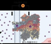 종이컵에 무수한 미세플라스틱이… 인하대, 세계 첫 발견 및 인체 영향도 규명